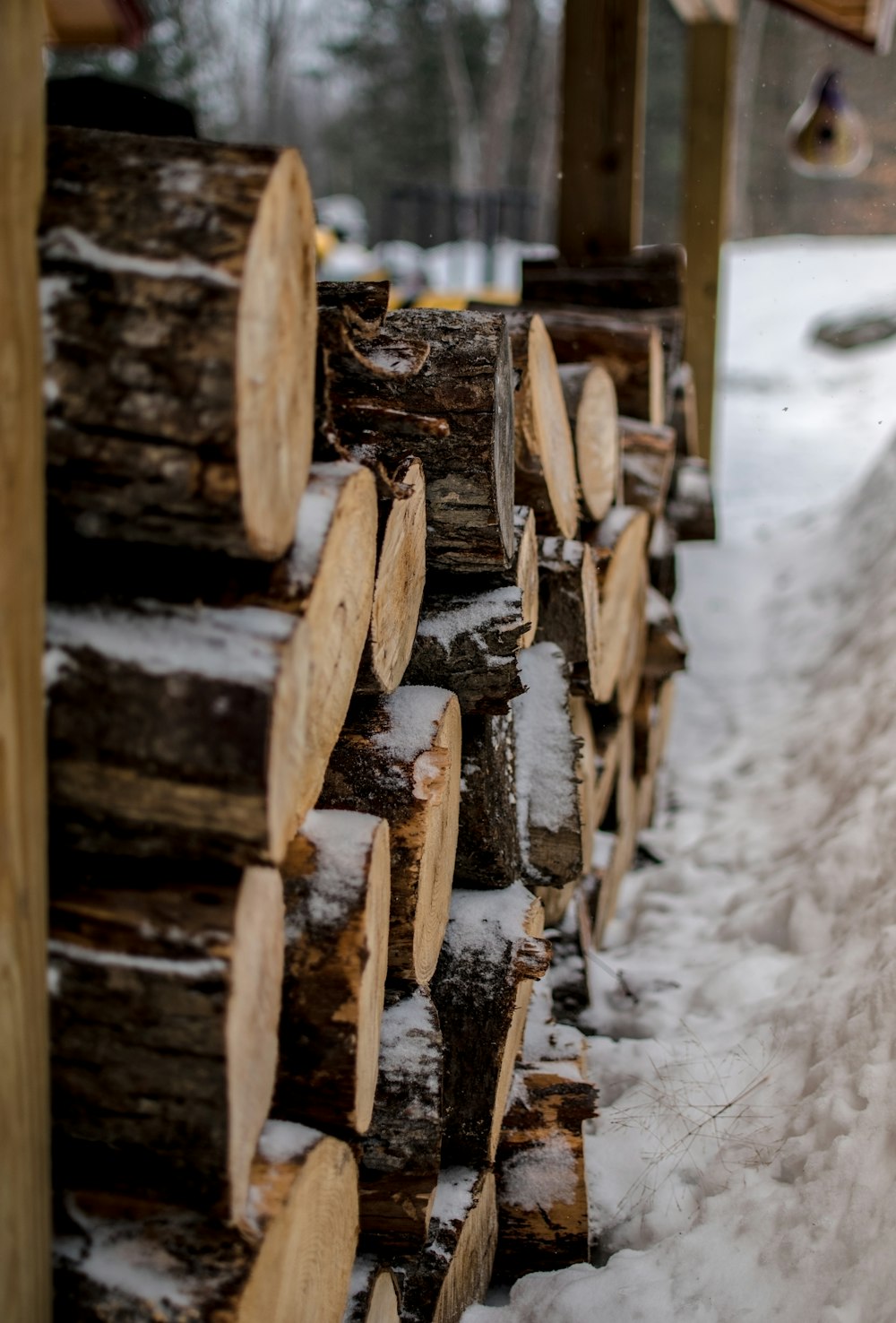 brown wood logs