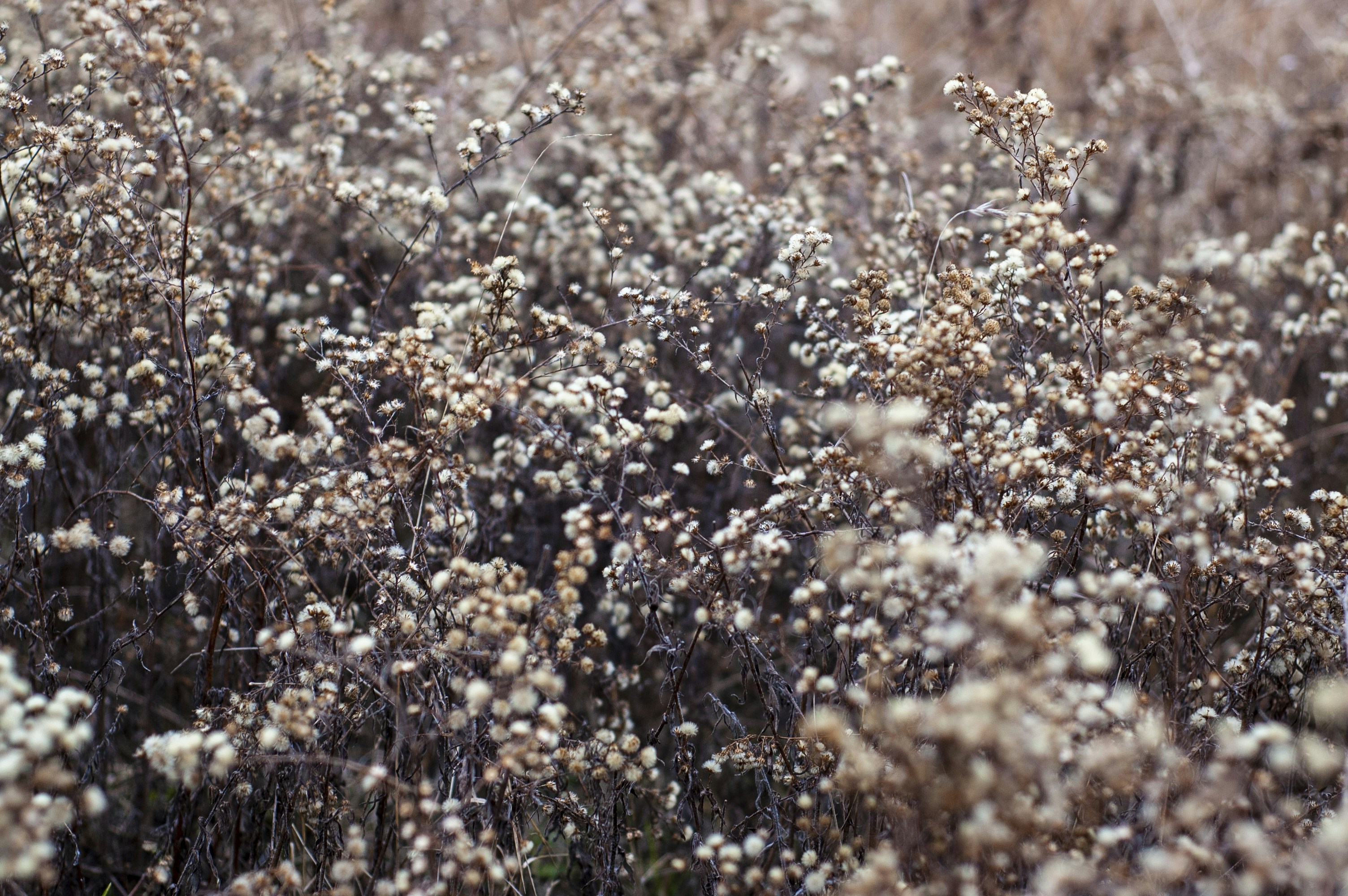 Photo by megindoors
