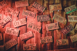 A collection of vintage license plates from various American states, affixed to a rustic wooden wall. The plates display a range of designs and colors, with the wood background creating a nostalgic, retro atmosphere.