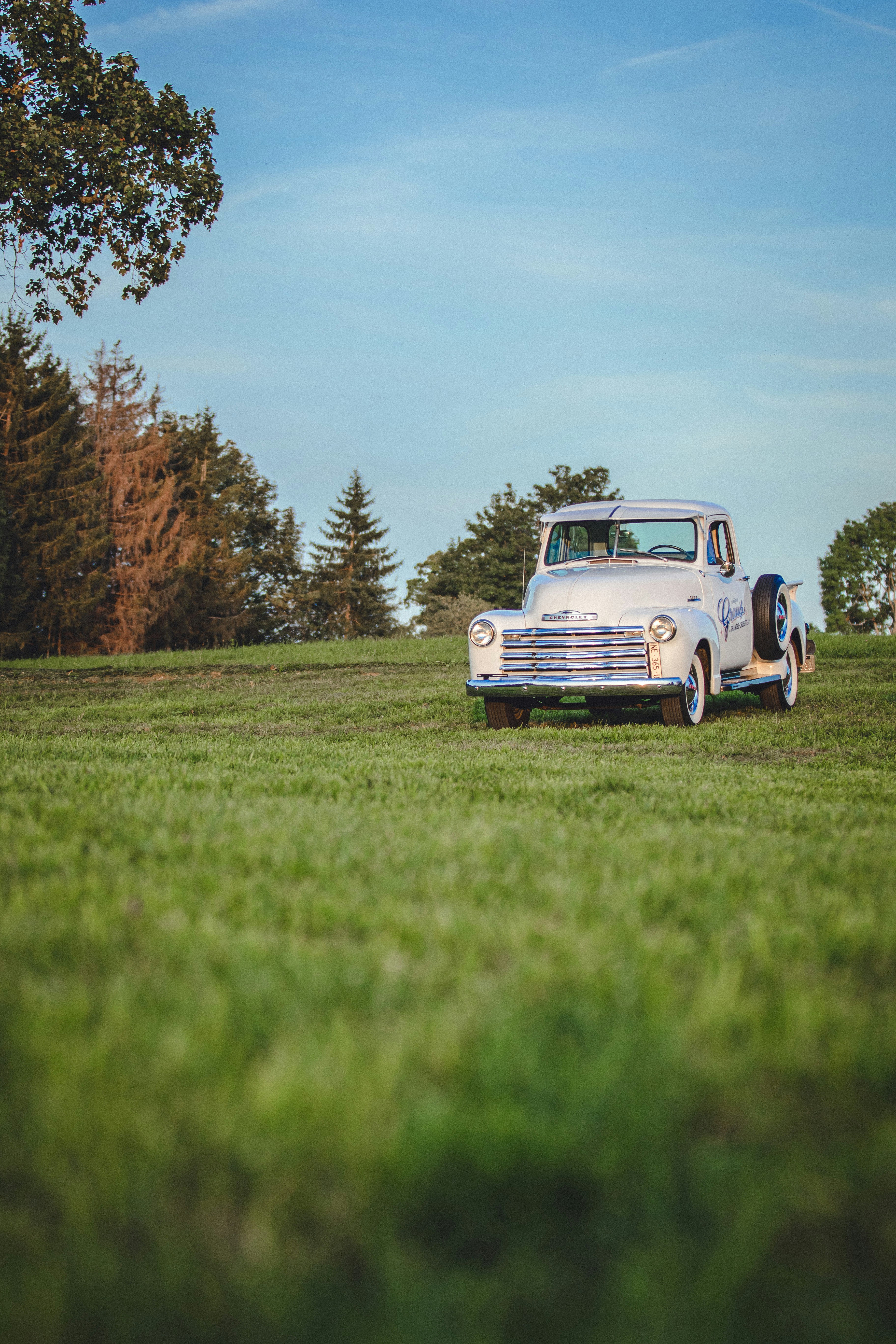 selective focus photo of classic white vehicle on grass field