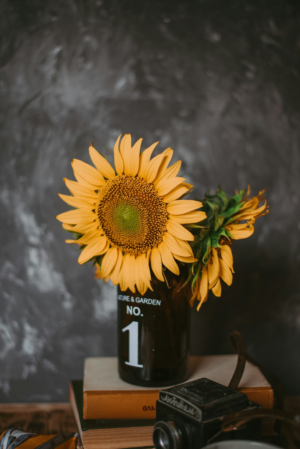 yellow sunflower