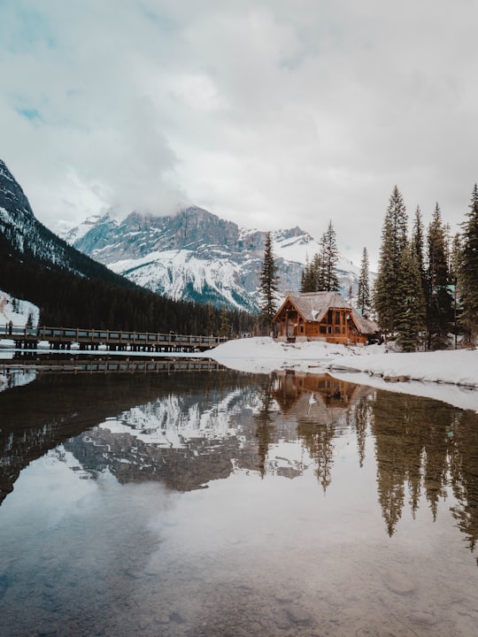 cabin in forest in Yoho National Park Of Canada Canada