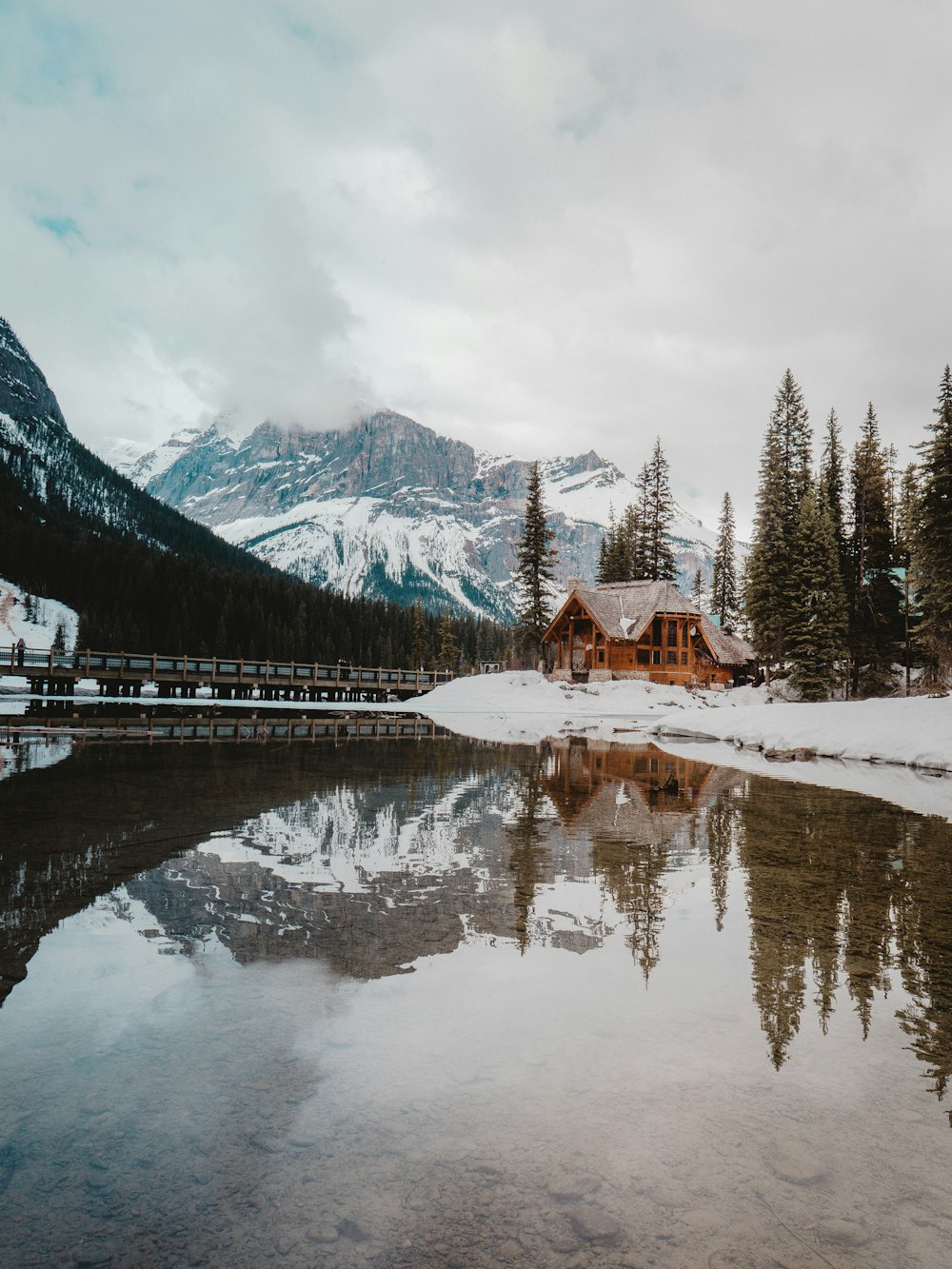 cabin in forest