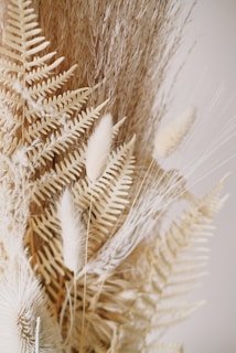 A collection of dried plants and grasses, featuring various textures and intricate details of leaves and stems. The composition displays an arrangement of pale ferns and fluffy seed heads, creating a natural and rustic aesthetic.