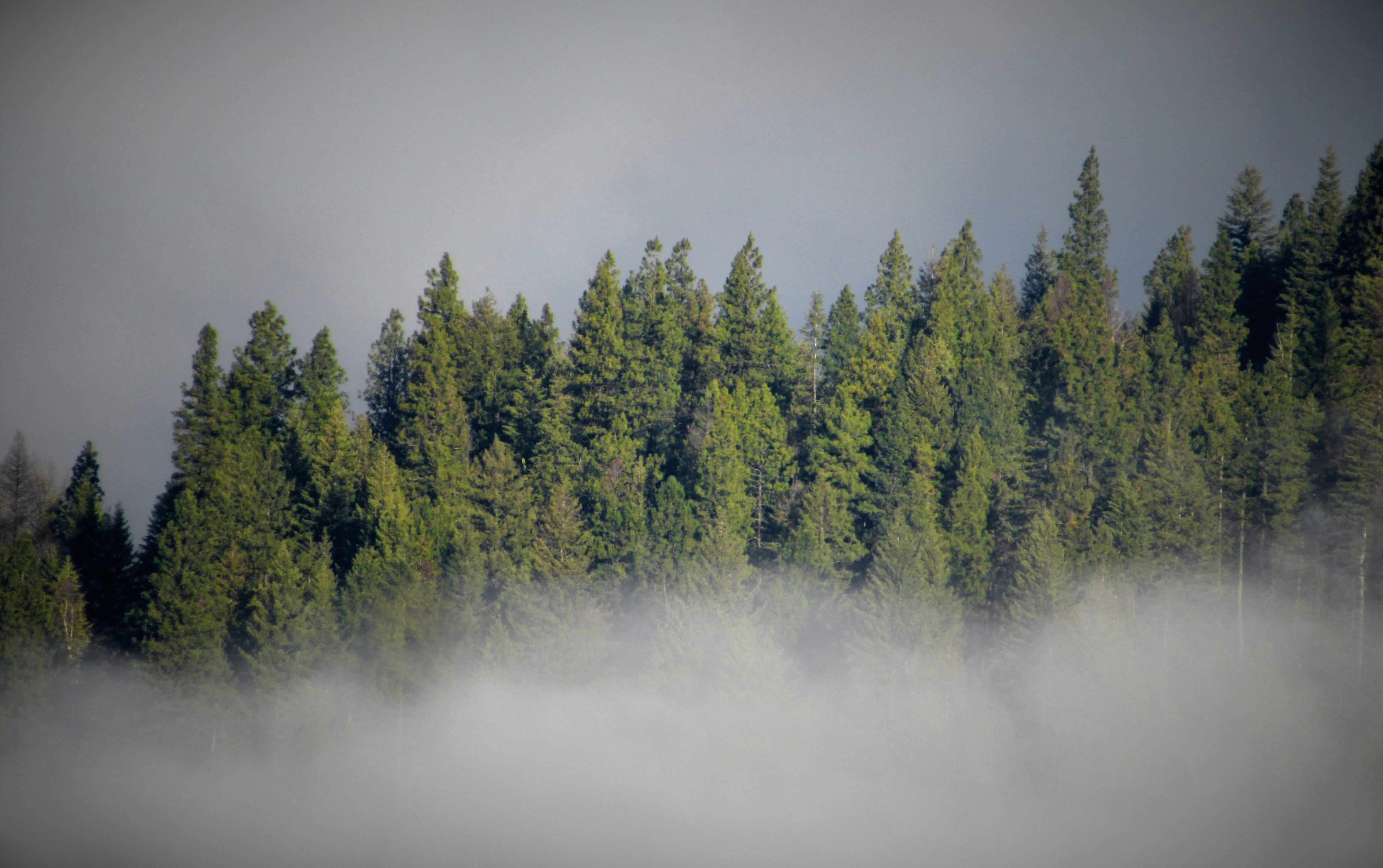 Photo by blendertimer