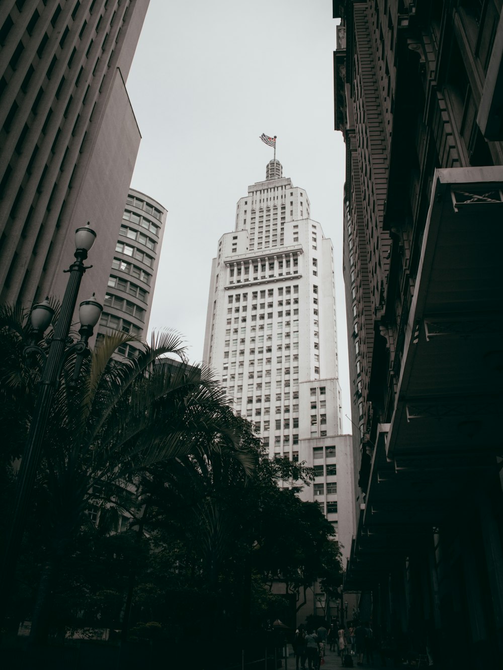 photography of high-rise buildings during daytime