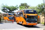 Two large orange tour buses are parked on a paved area surrounded by greenery. The buses have prominent designs on the front and are marked with names like 'Young Guns'. Lush trees and plants can be seen around the area, creating a vivid contrast with the buses.