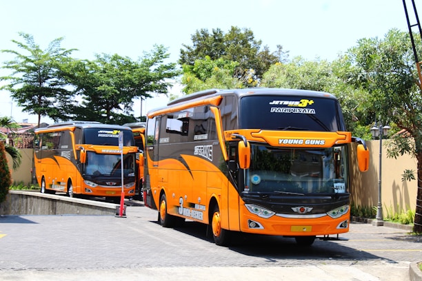 Two large orange tour buses are parked on a paved area surrounded by greenery. The buses have prominent designs on the front and are marked with names like 'Young Guns'. Lush trees and plants can be seen around the area, creating a vivid contrast with the buses.