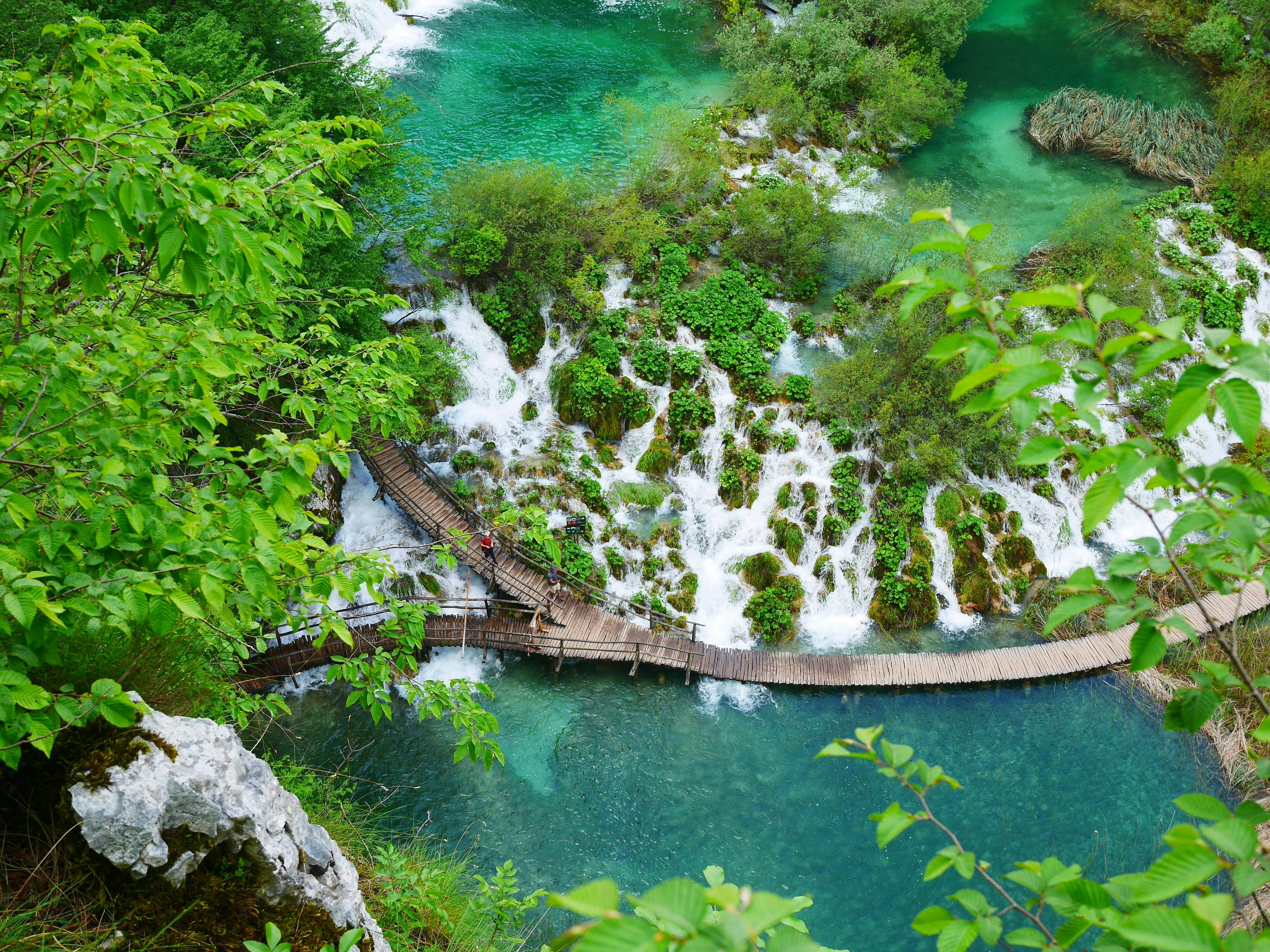 Photo by king521_yolo