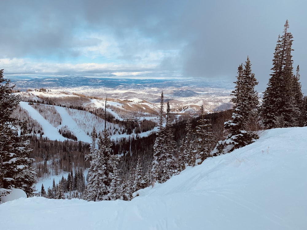 snow covered mountain