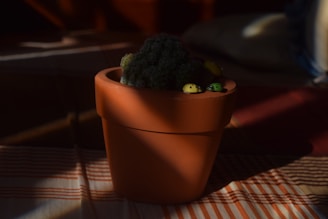 A terracotta pot sits on a surface with striped fabric, containing a cactus. The pot is adorned with small decorative figures resembling ladybugs, painted in yellow and green. Soft lighting creates shadows, adding depth and a warm ambiance.