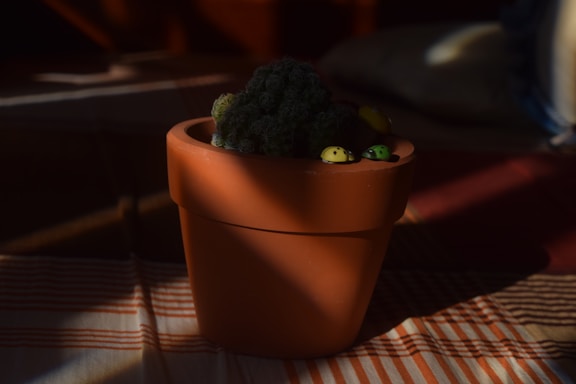 A terracotta pot sits on a surface with striped fabric, containing a cactus. The pot is adorned with small decorative figures resembling ladybugs, painted in yellow and green. Soft lighting creates shadows, adding depth and a warm ambiance.