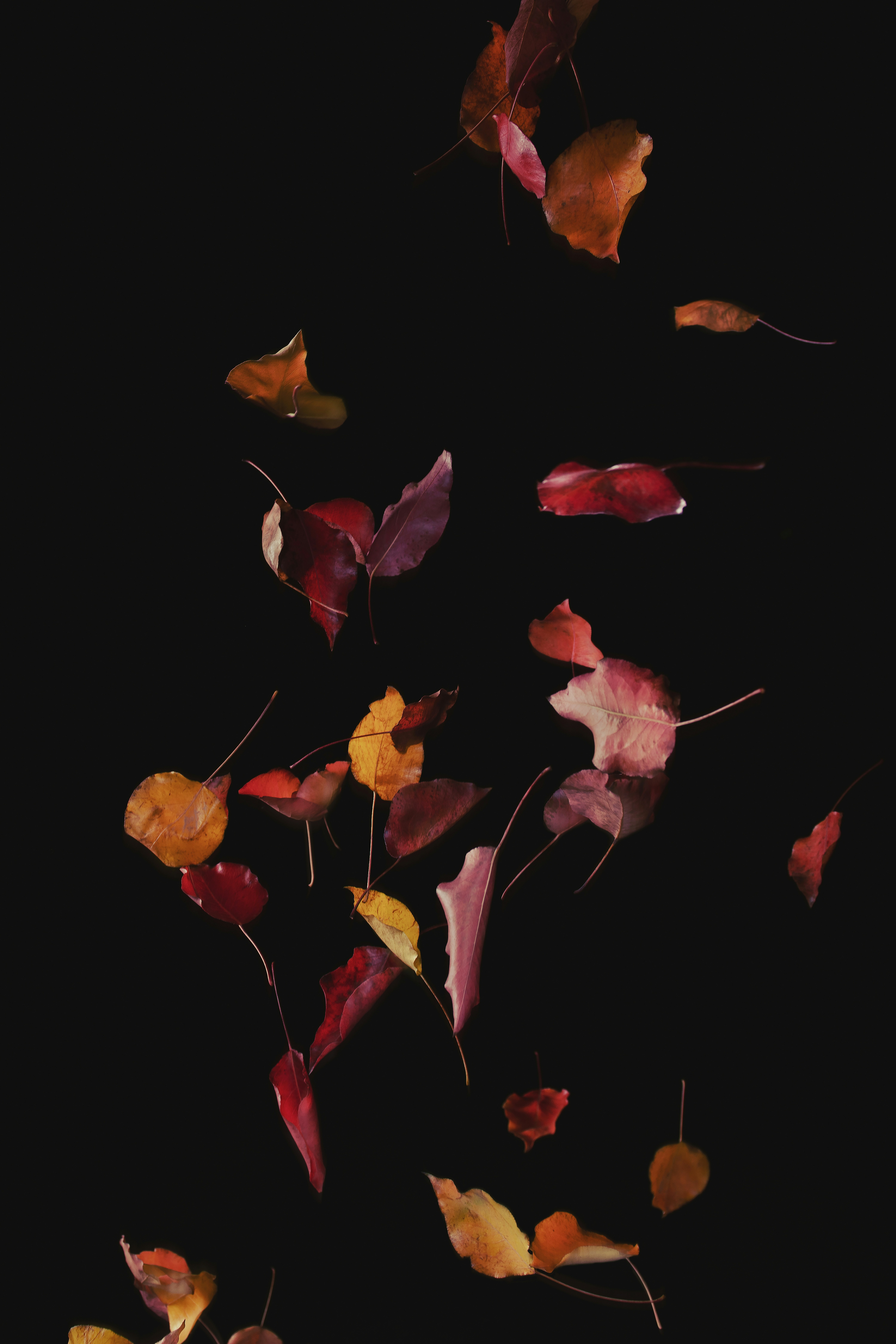 Photo by timmossholder