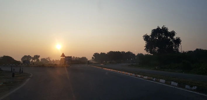 A serene southern country road winding through tall pine trees under a soft golden sunset.