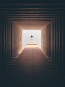 silhouette of airplane