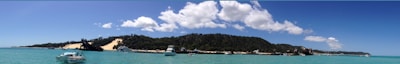 A panoramic view of the Dominican coastline with boats sailing near whales.