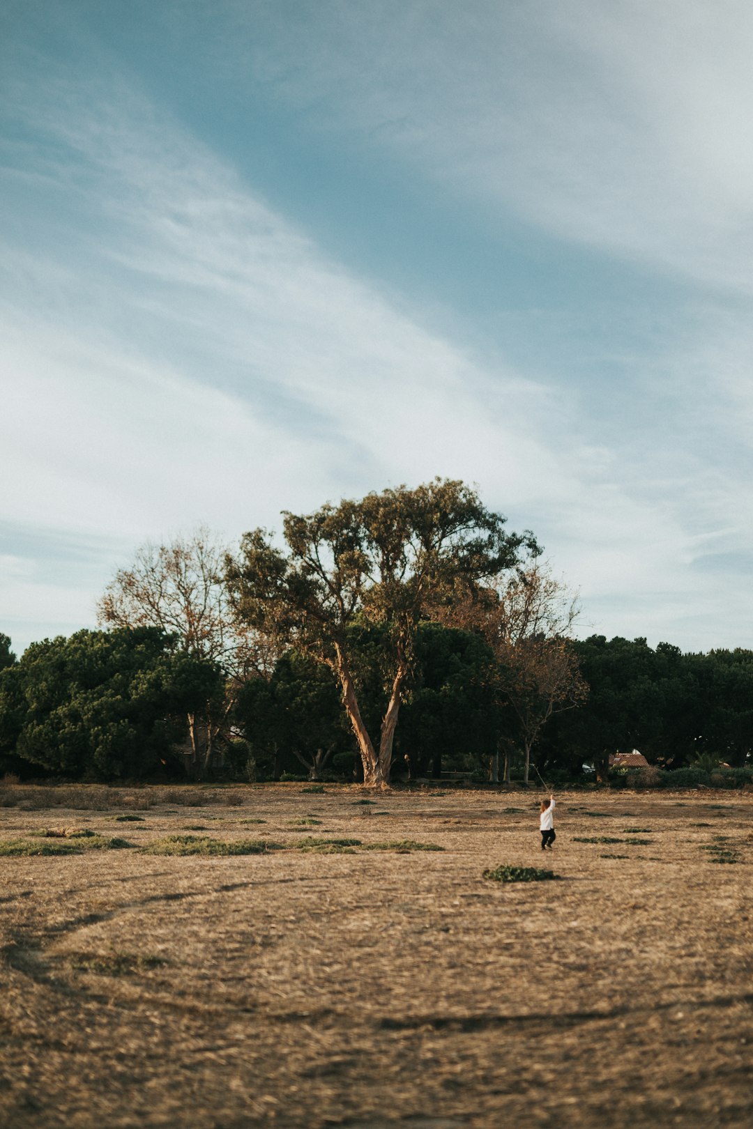 child standing near tree