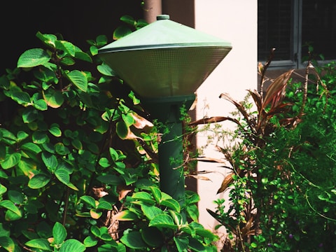 A green outdoor lamp surrounded by lush greenery and various types of plants. The lamp has a cone-shaped top and is situated beside a light-colored wall near a window. The plants around it include broad-leaved shrubs and some with reddish-brown leaves.