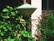 A green outdoor lamp surrounded by lush greenery and various types of plants. The lamp has a cone-shaped top and is situated beside a light-colored wall near a window. The plants around it include broad-leaved shrubs and some with reddish-brown leaves.
