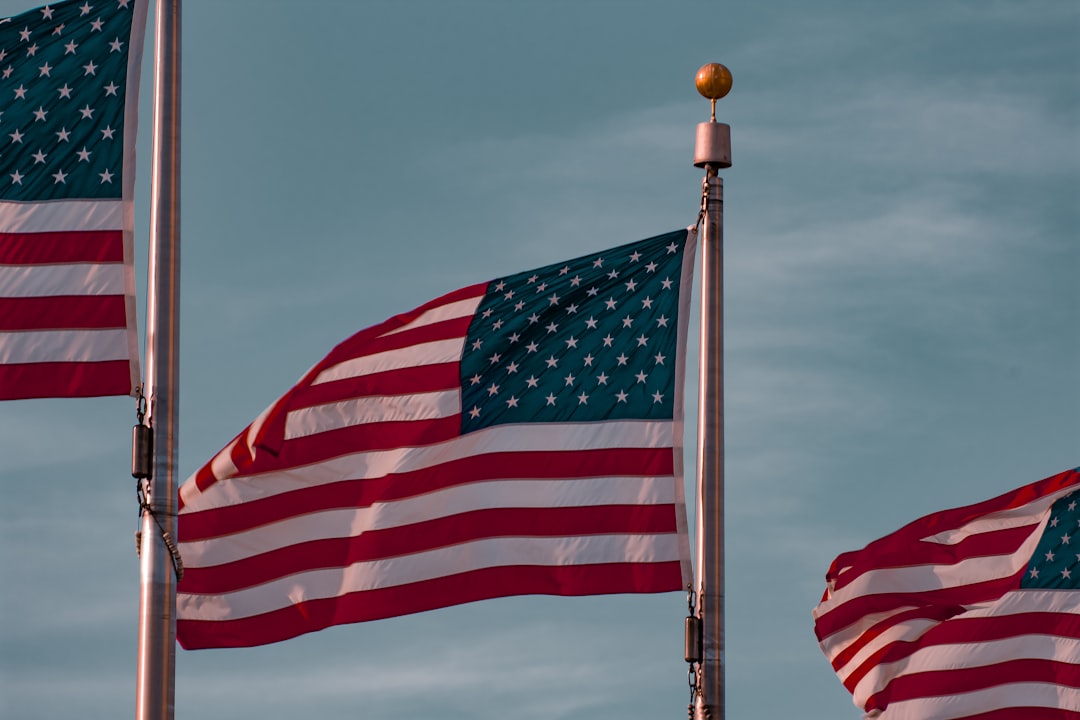 flags, flags, flags