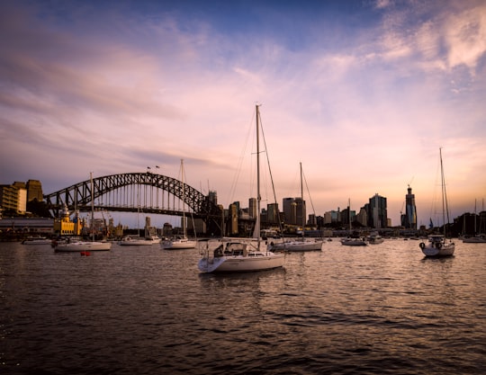 Sydney Harbour Bridge in Australia in Wendy's Secret Garden Australia
