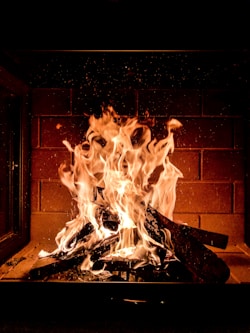 log on fire in firewood