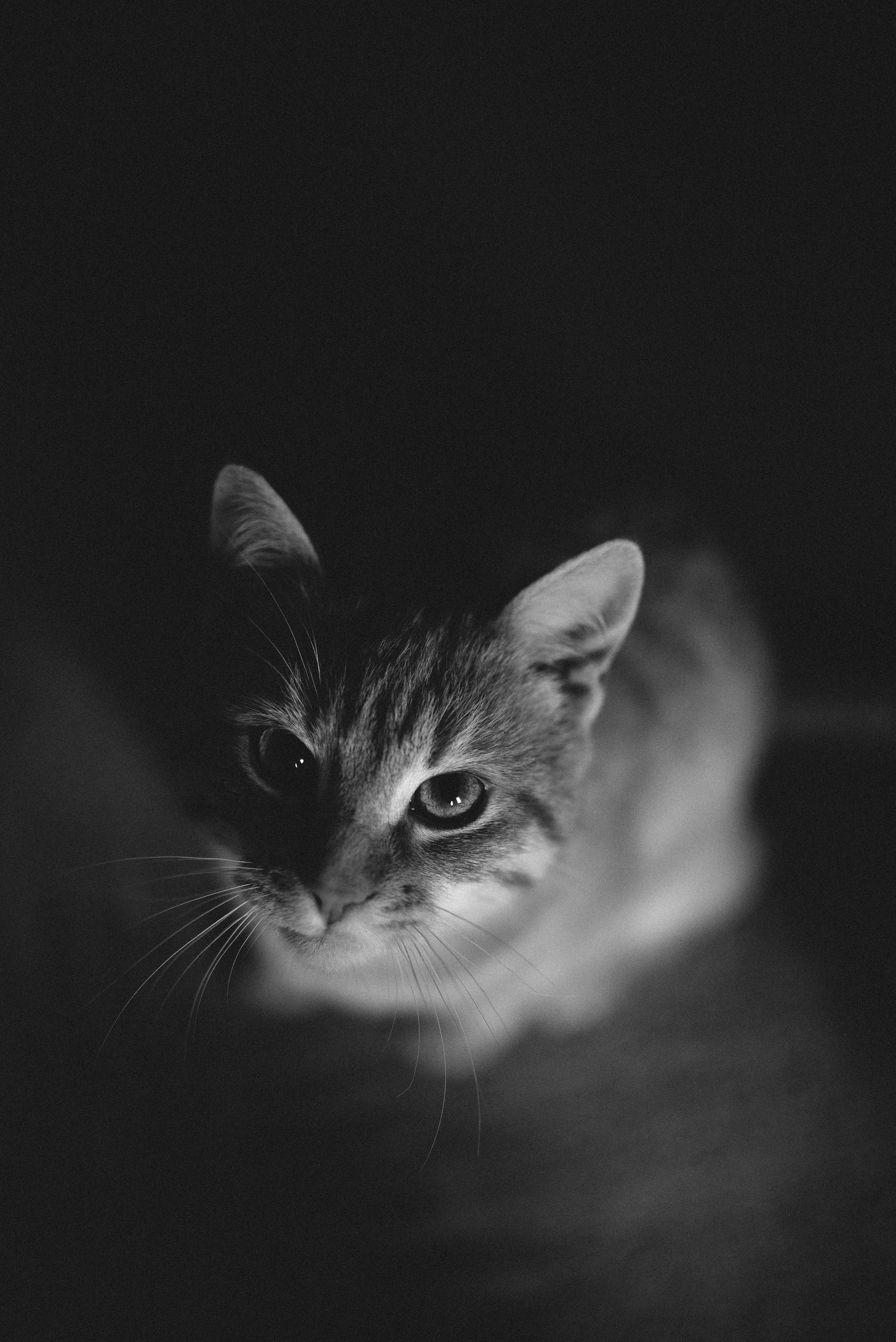 Photo by barnikakovacs