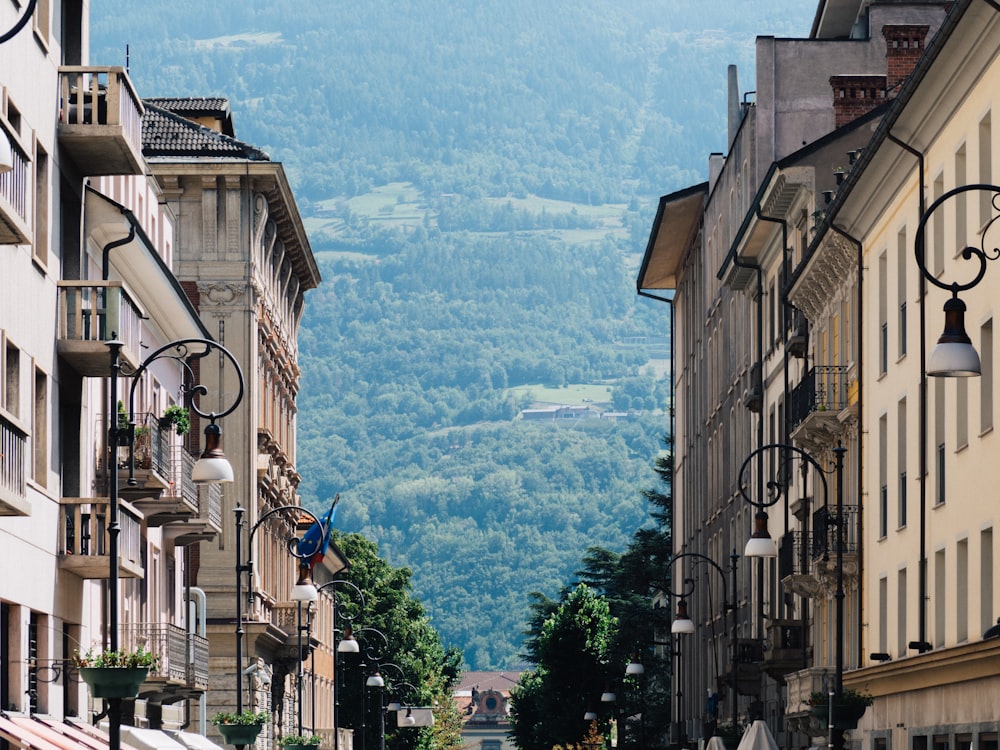 view photography of city buildings and forest trees during daytime