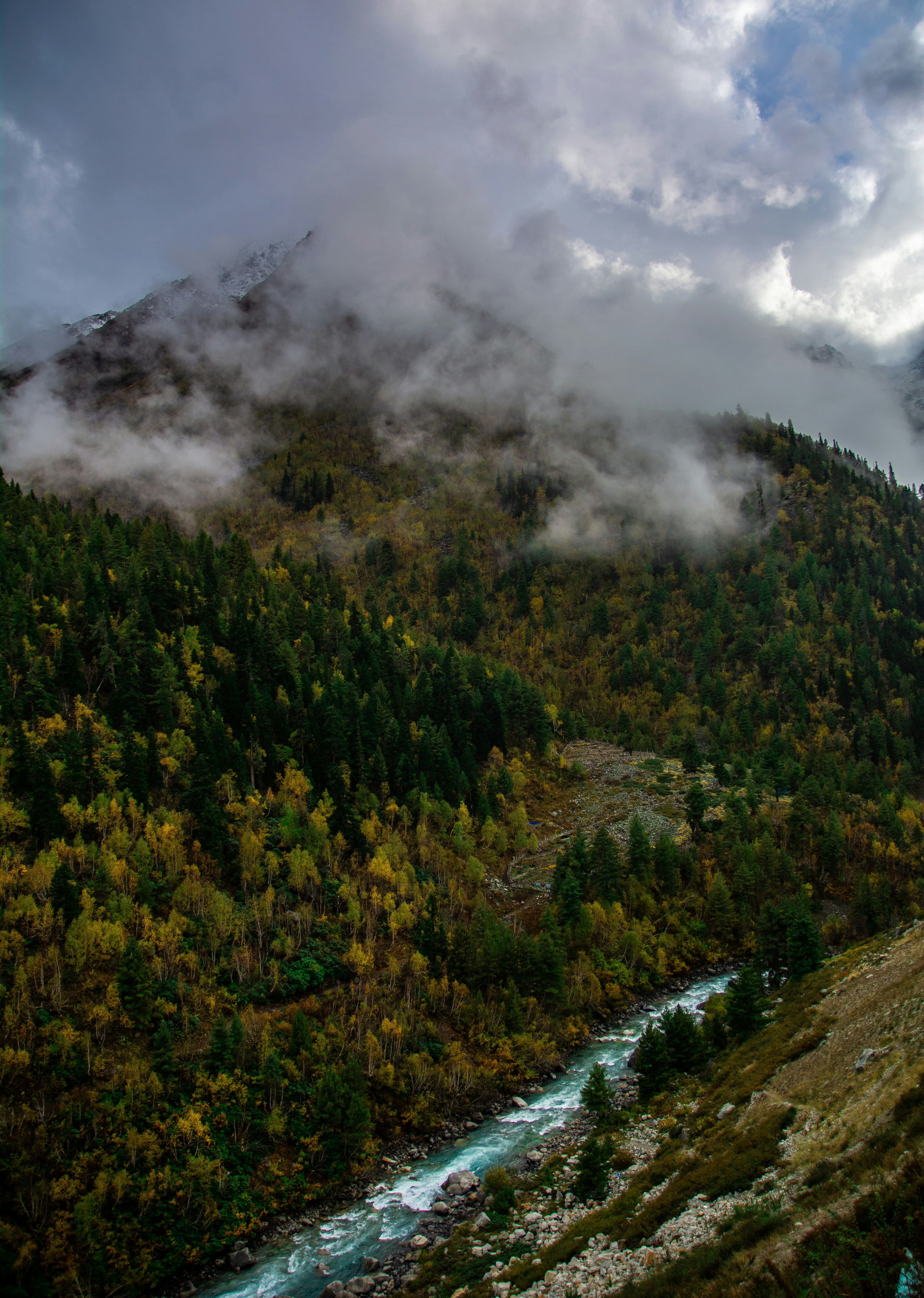 Photo by kaushikkool