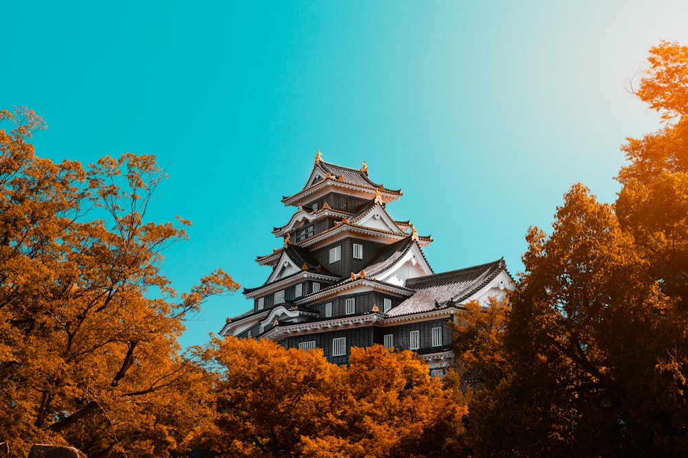 grey and brown concrete temple during daytime