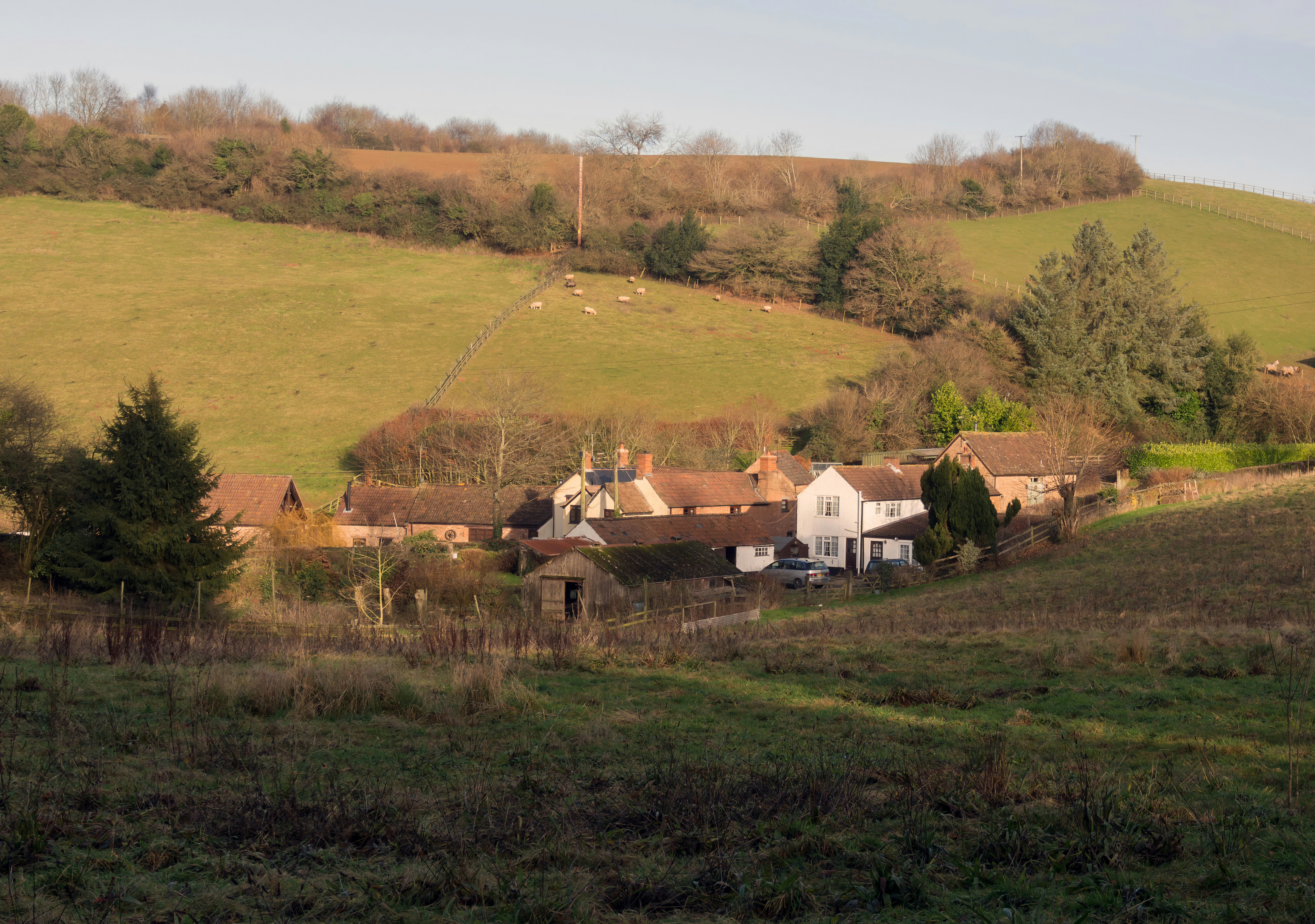 Photo by brett_jordan