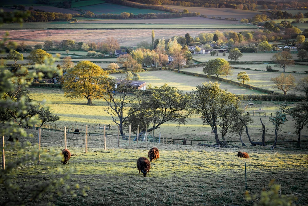 green-leafed trees