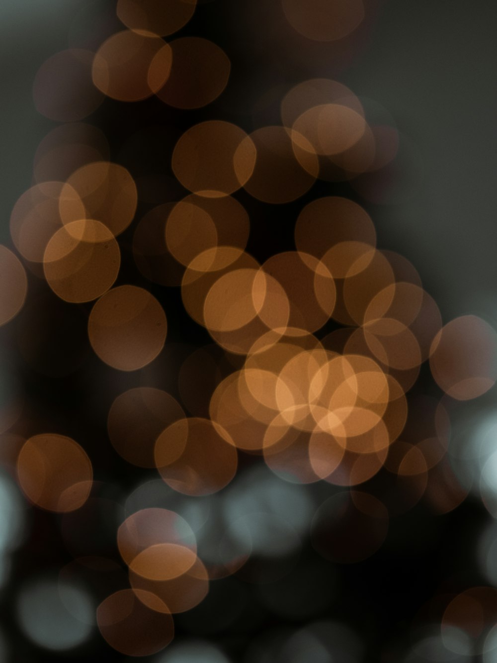 brown bokeh photography