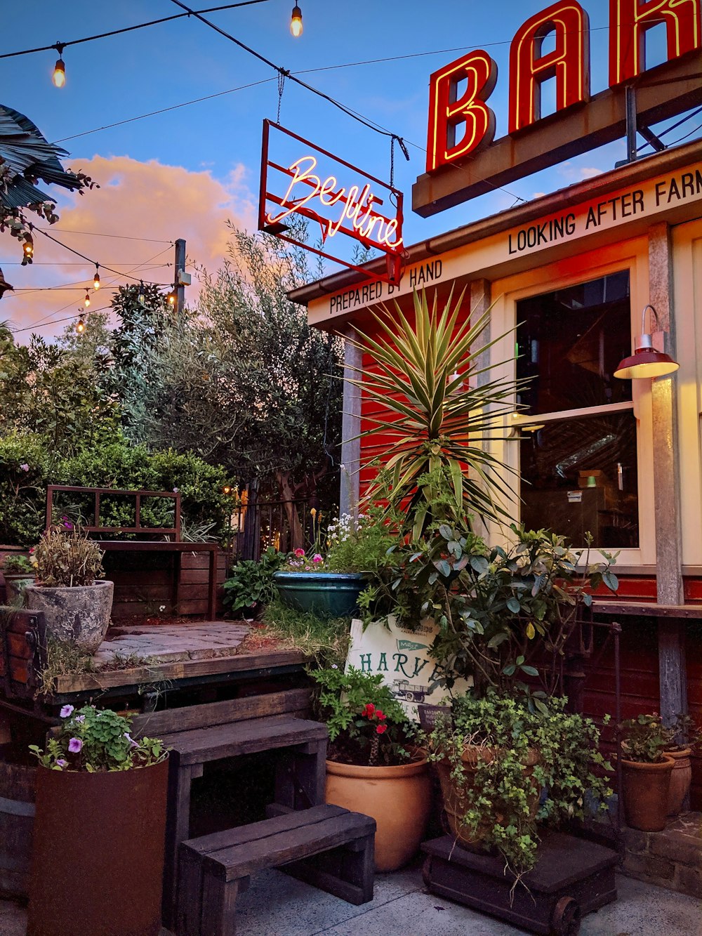 plants outside bar