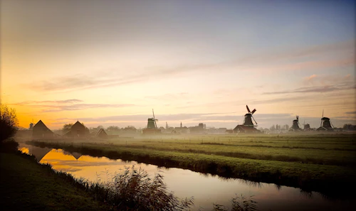 Moulins de polder dans la brume au lever du jour