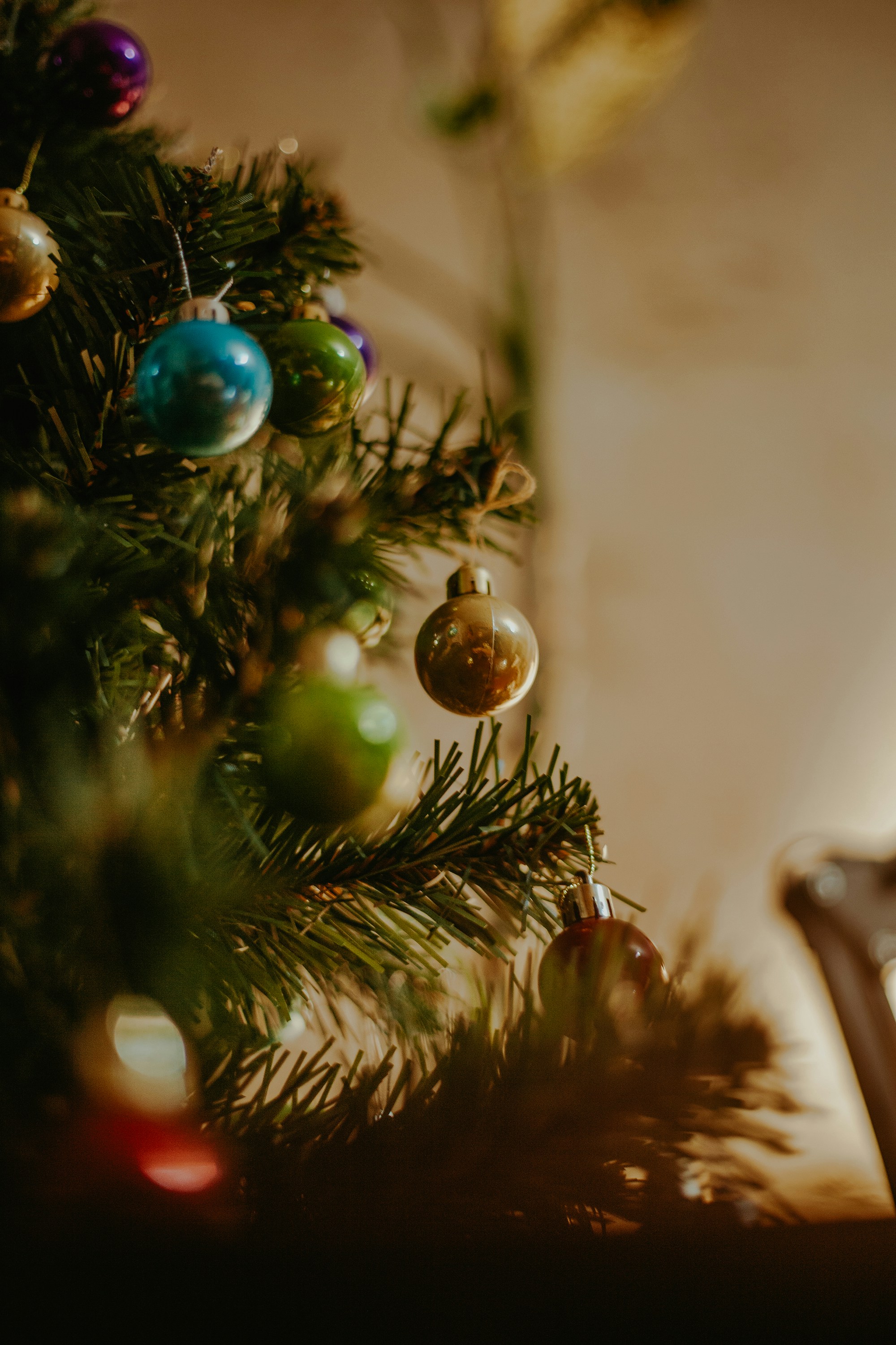 Taya Iv Tayaiv Unsplash Photo Community