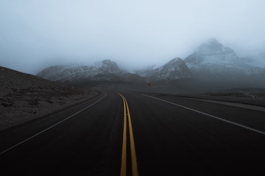 empty road during daytime in Icefields Parkway Canada