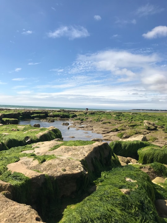 landscape photography of rock formation in Longeville-sur-Mer France