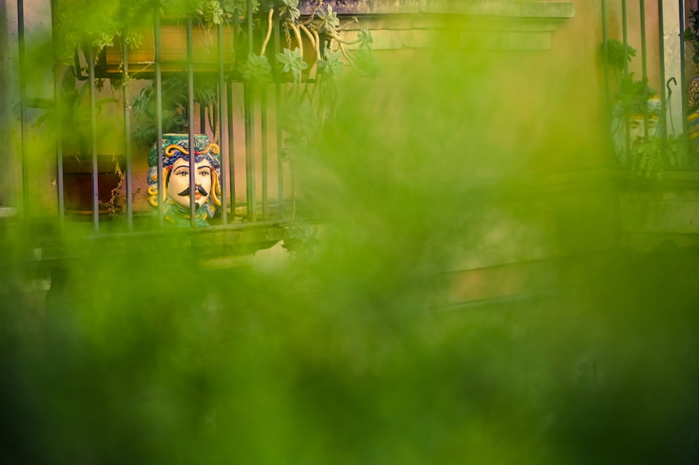 a bird cage with a face in it