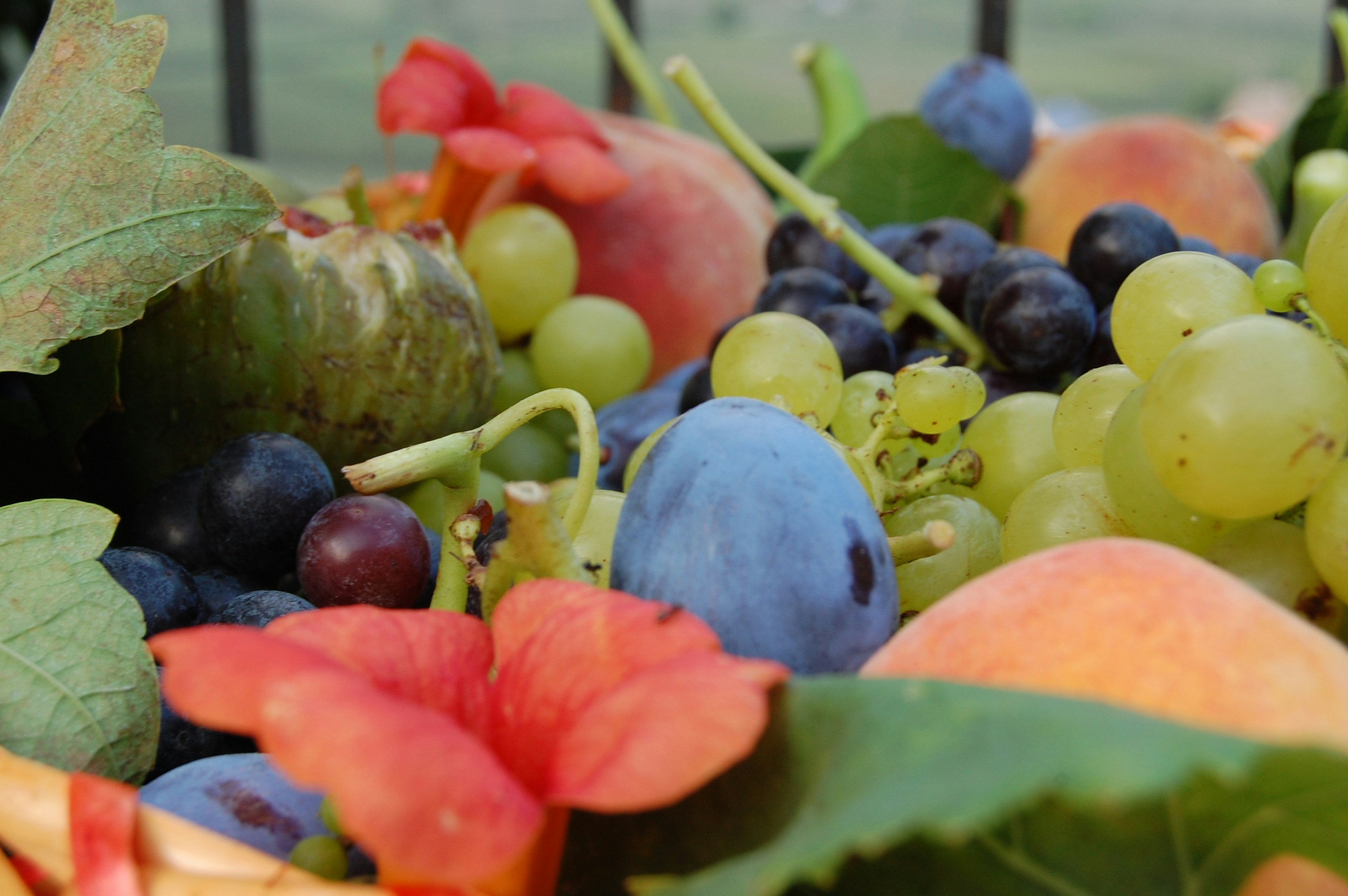 Fresh-cut stone fruit mix with peach slices, nectarines, cherries, and plums in a kraft box