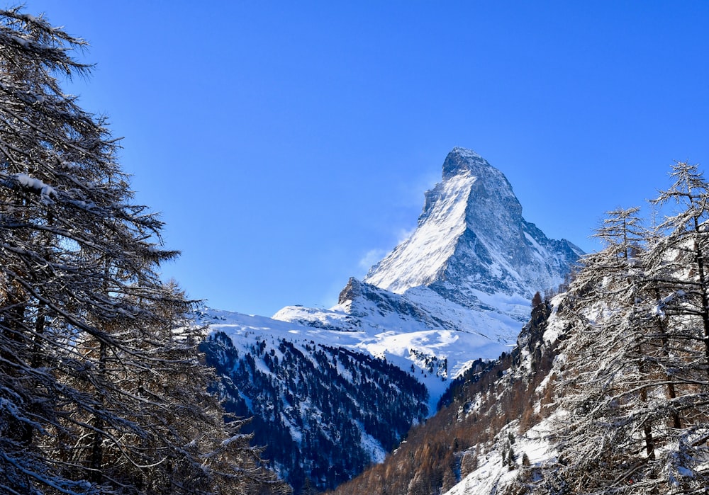 montanha coberta de neve