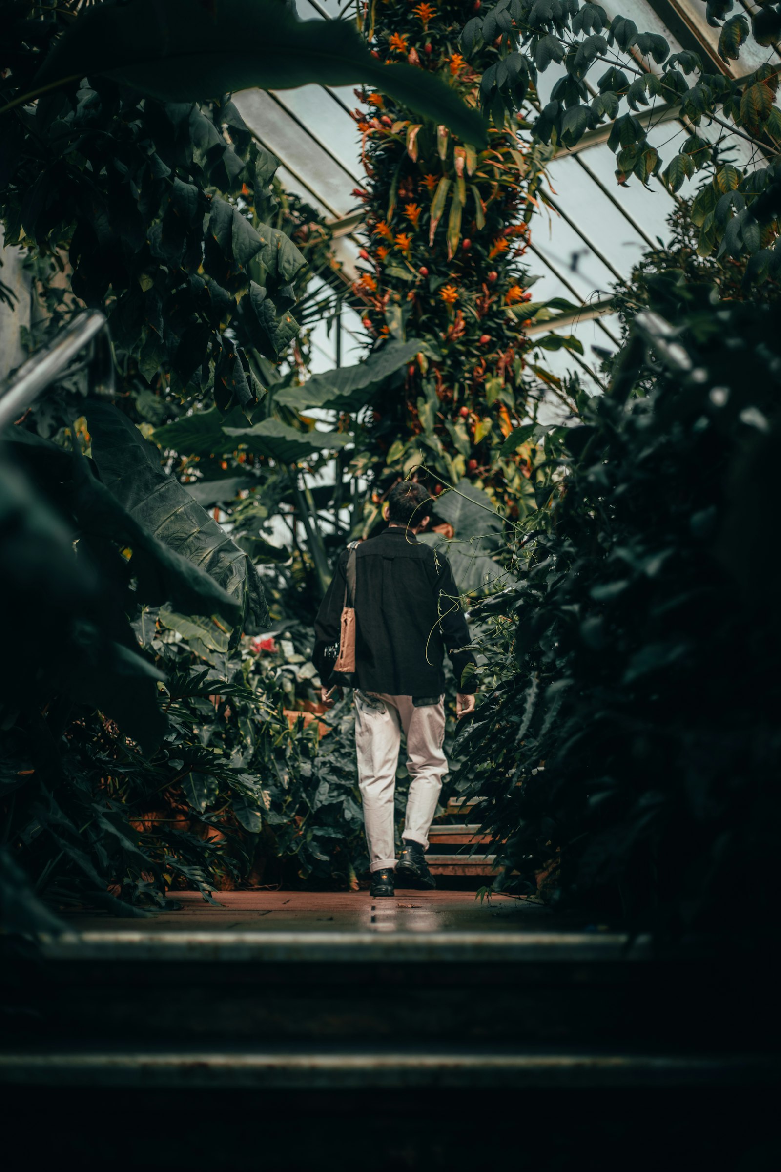 Canon EOS-1D X Mark II + Canon EF 50mm F1.8 STM sample photo. Man near plants photography