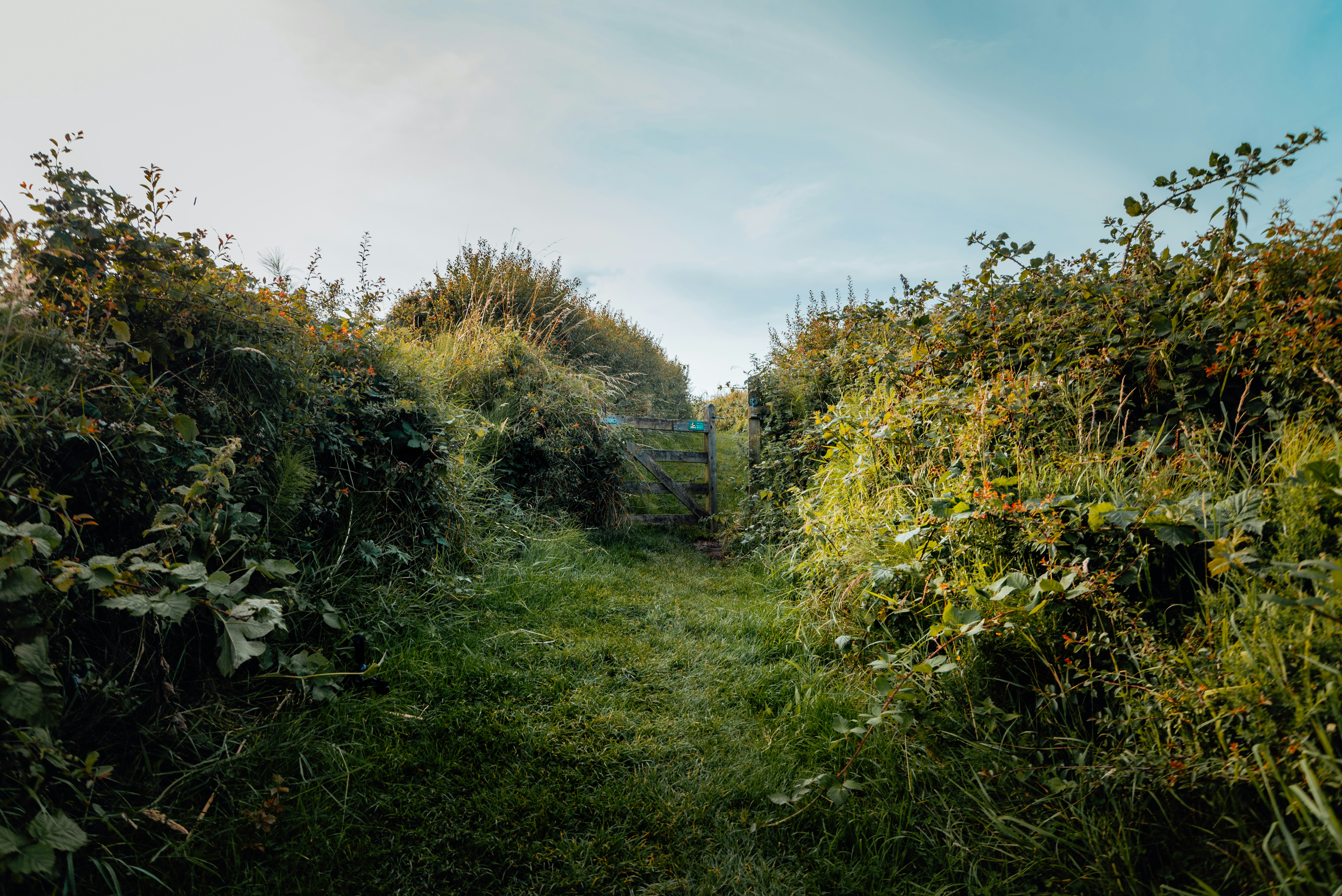 Photo by milltownphotography