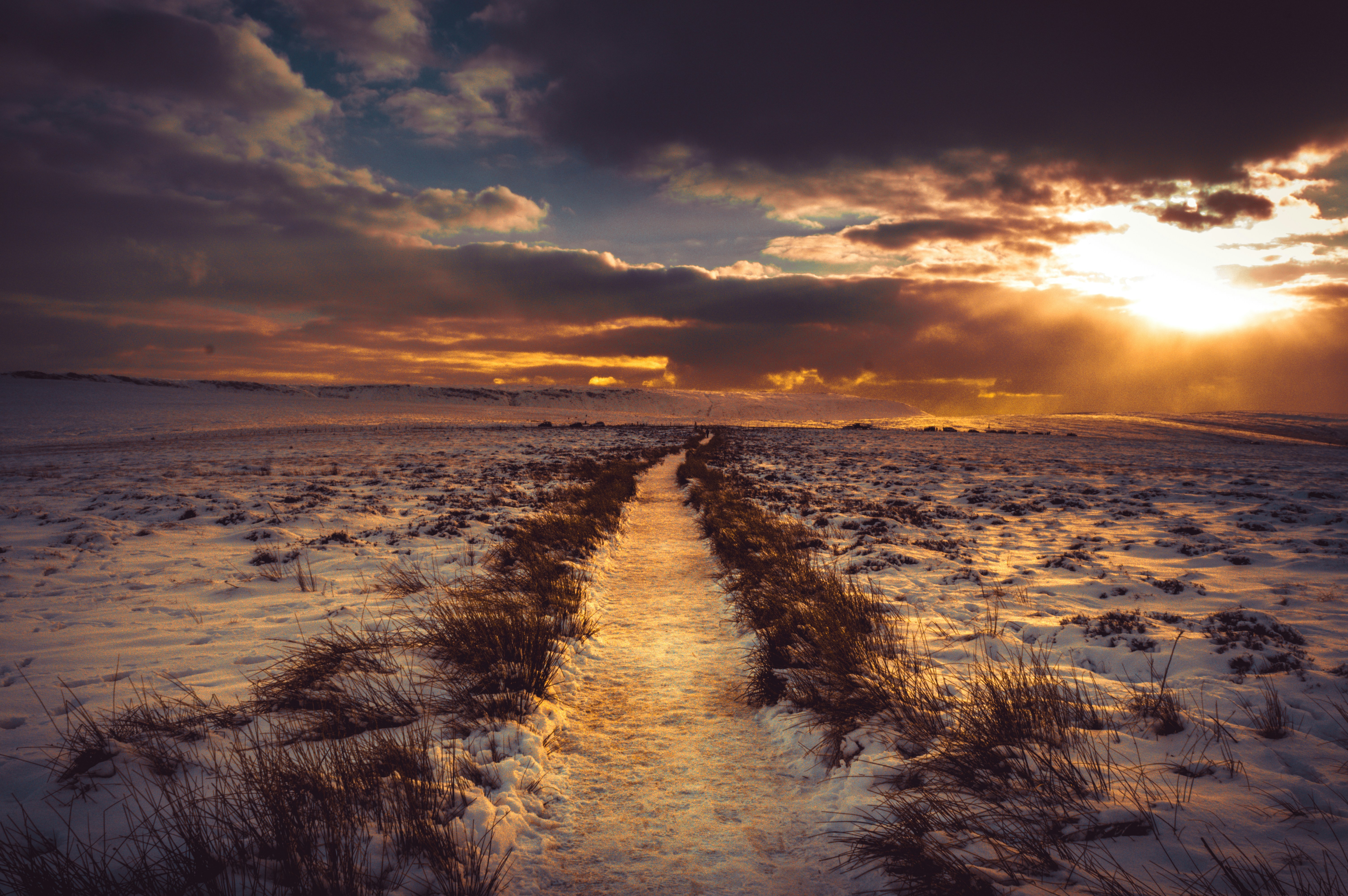 Photo by milltownphotography