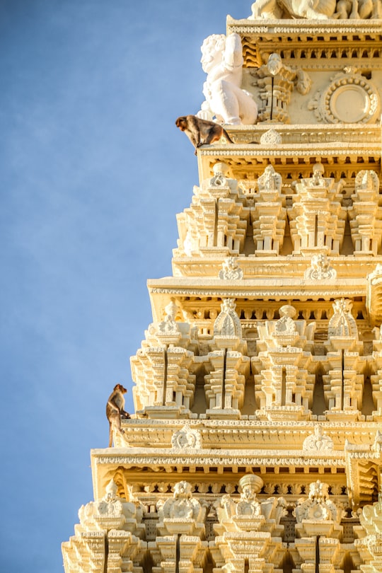 architectural photography of brown monument in Karnataka India