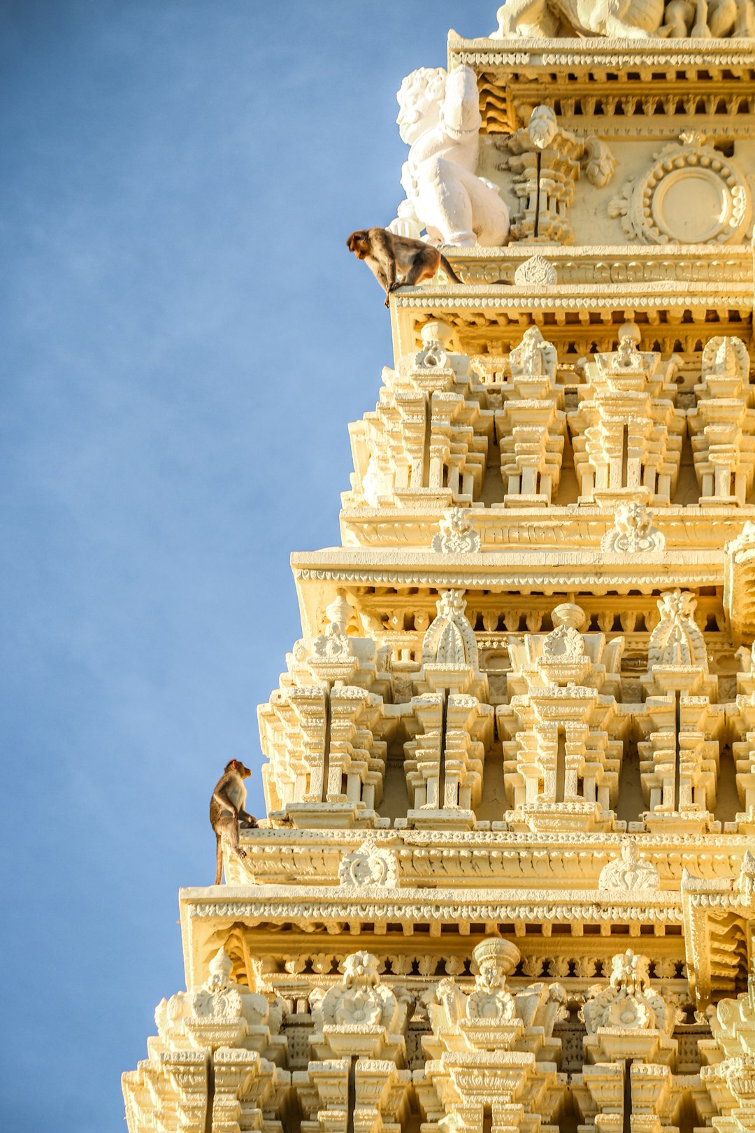 Landmark photo spot Karnataka Vijaya Vittala Temple