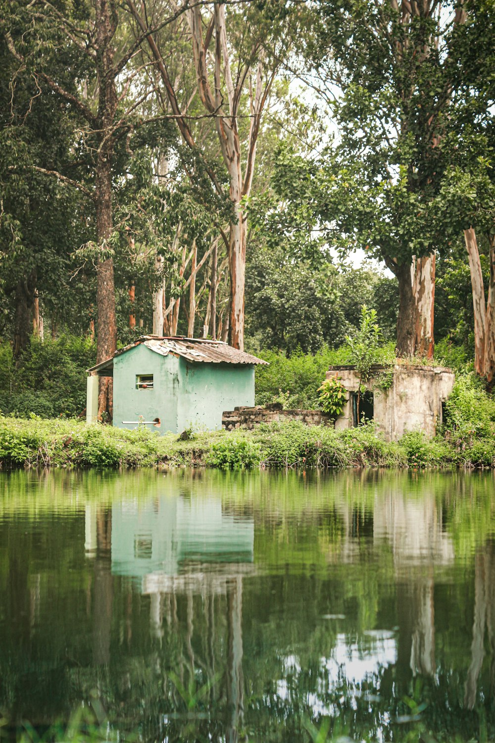 blue house near trees and pond