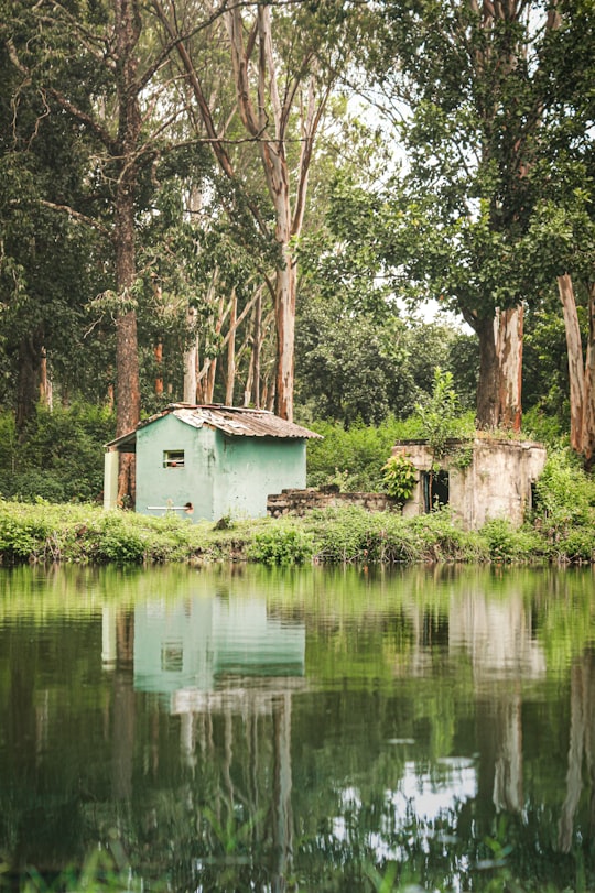 blue house near trees and pond in Karnataka India