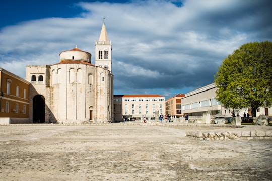 gray concrete building in Church of St. Donatus Croatia