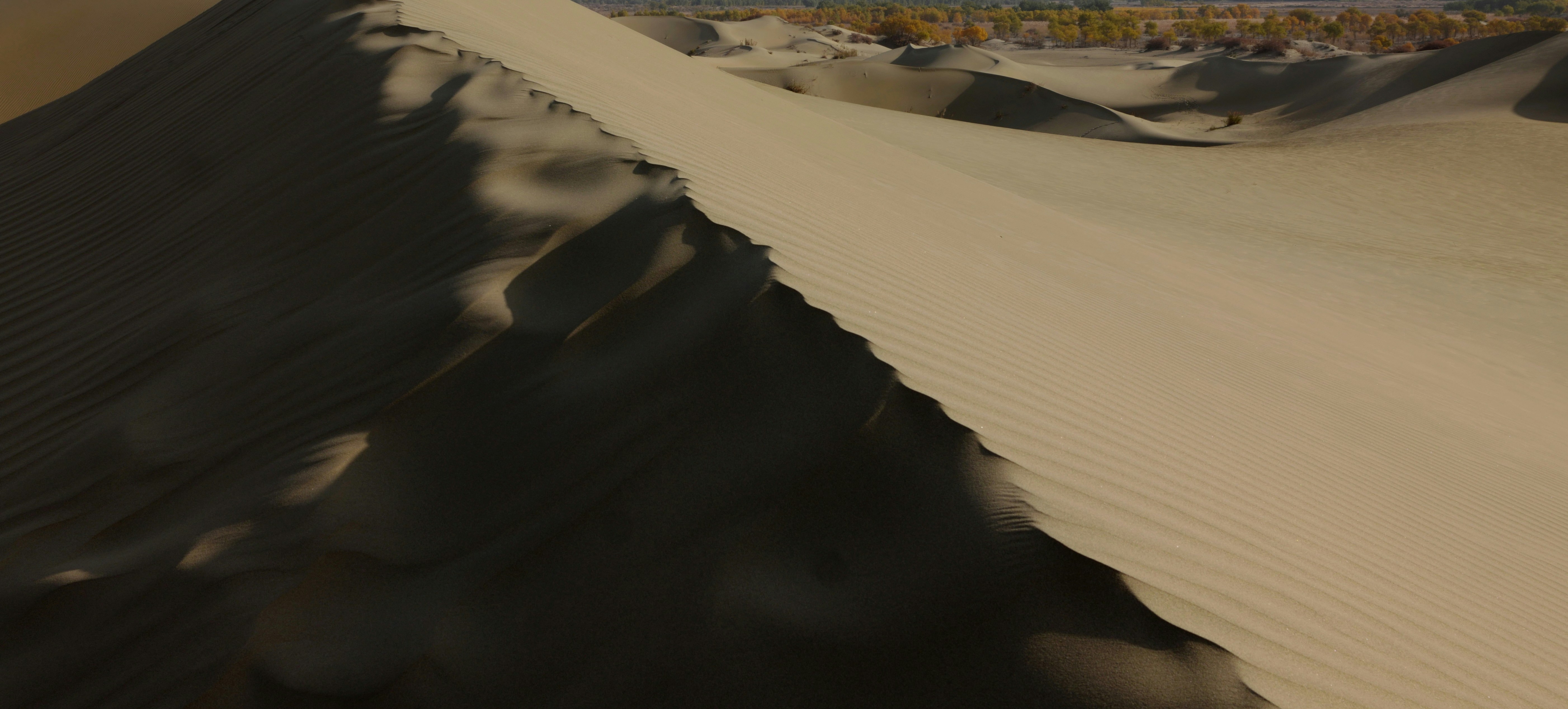 Photo by silverarrow